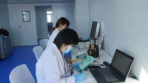 黑河市質(zhì)量技術(shù)檢驗(yàn)檢測(cè)中心快檢服務(wù)助力綠農(nóng)信息技術(shù)咨詢(xún)發(fā)展